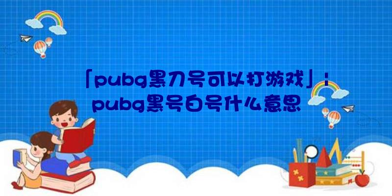 「pubg黑刀号可以打游戏」|pubg黑号白号什么意思